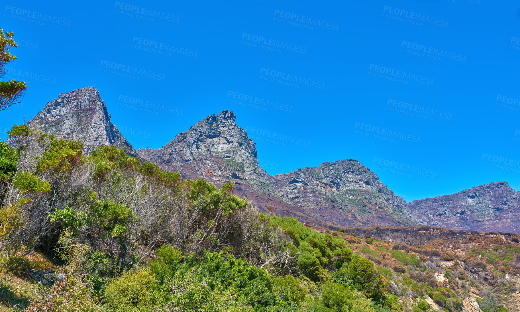 Buy stock photo Landscape, mountain view and blue sky of Twelve Apostles with copy space in remote countryside hiking forest. Scenery of famous landmark in an environmental nature reserve in Cape Town, South Africa