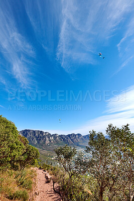 Buy stock photo Mountain hiking dirt trail with copy space, green plants and paragliders gliding over a city. Landscape view of a scenic path to Twelve Apostles in Cape Town with blue sky from a nature reserve