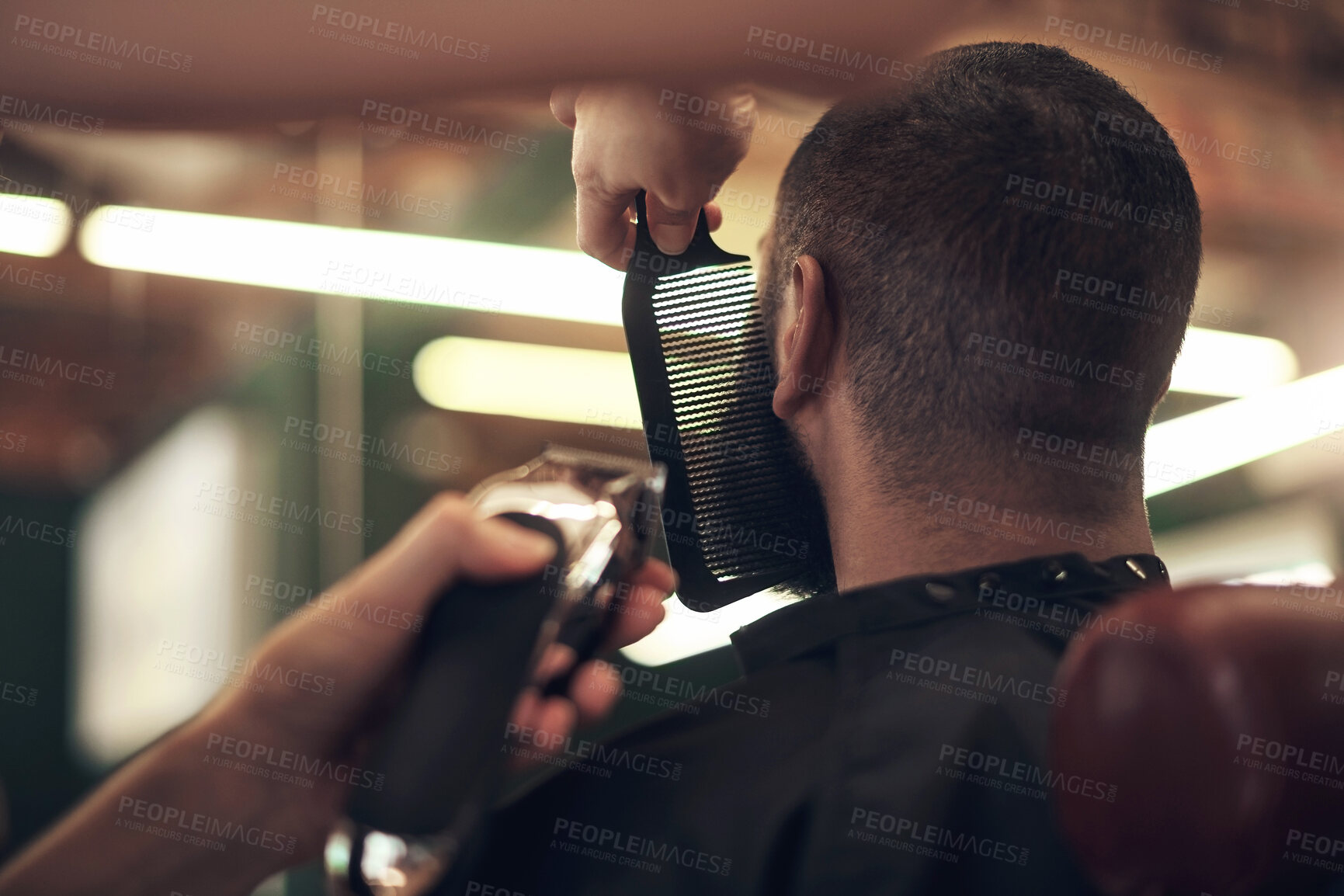 Buy stock photo Beard, trim and man at barbershop with comb, machine and haircut with customer service at small business. Tools, barber and client in chair for grooming, style and facial hair care at salon from back