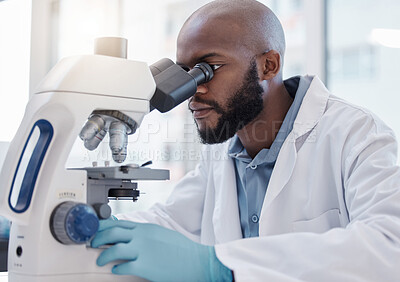 Buy stock photo Black man, scientist and microscope in laboratory for science research, data analysis and medical innovation. Biotechnology, male person or doctor in lab testing for chemistry, medicine and study