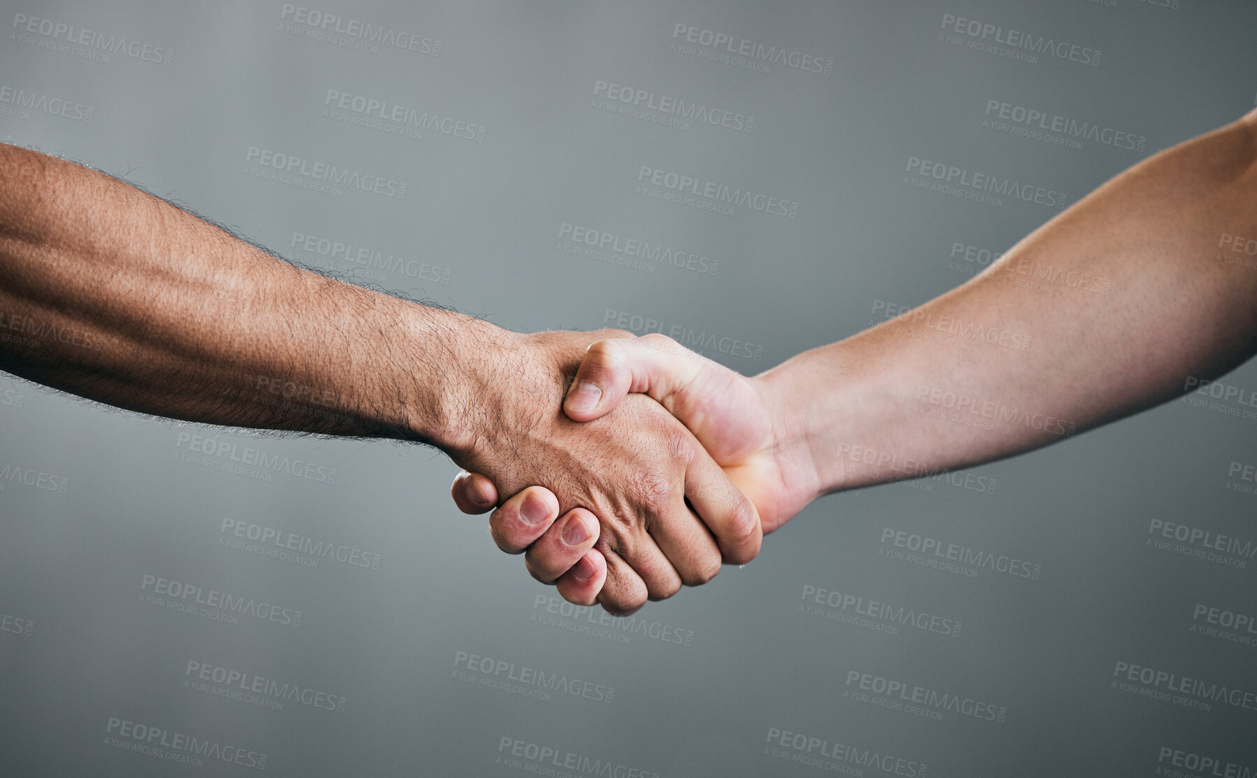 Buy stock photo People, fitness and handshake with greeting for teamwork, partnership or deal on a gray studio background. Closeup of men shaking hands in agreement, unity or meeting for workout challenge together