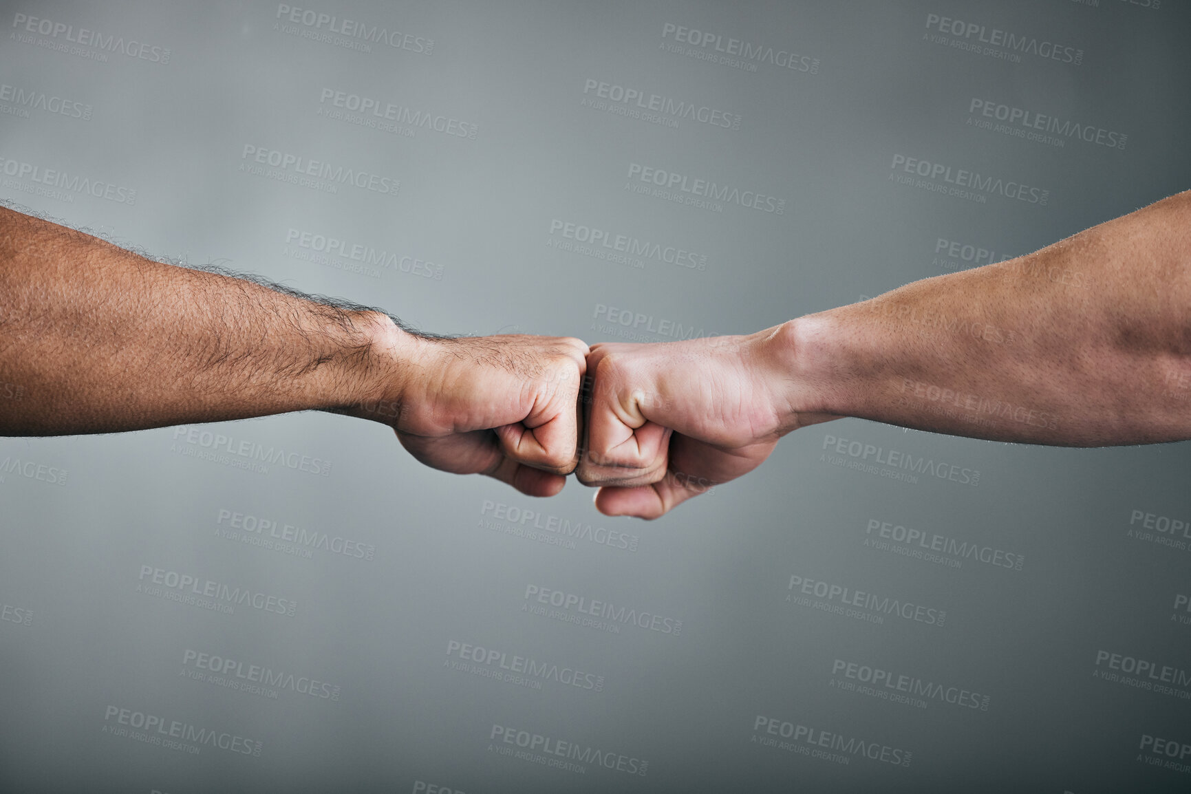 Buy stock photo People, fitness and fist bump with greeting for teamwork, partnership or deal on a gray studio background. Closeup of men touching hands in agreement, unity or meeting for workout challenge together