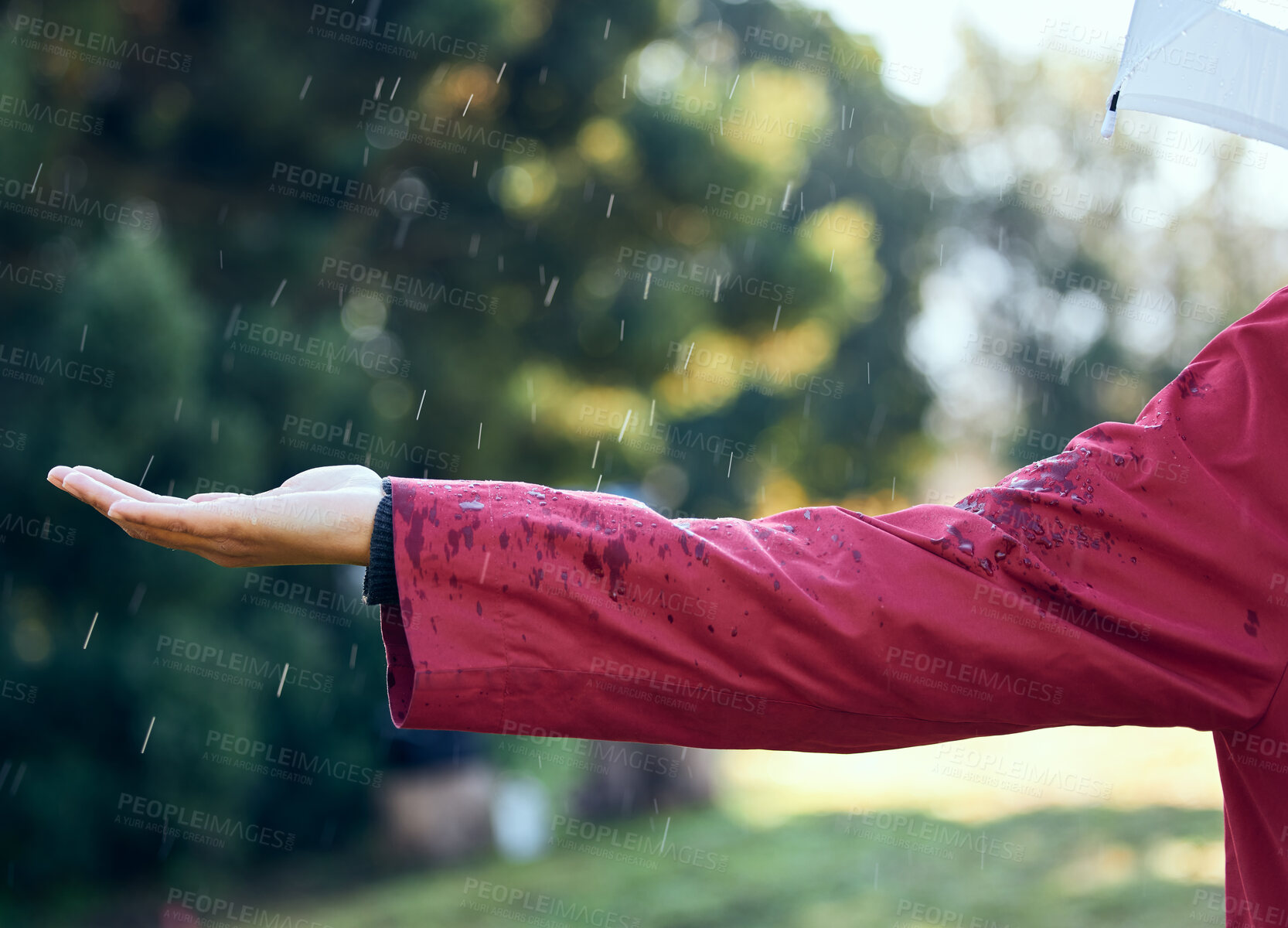 Buy stock photo Water drops, outdoor and rain in winter, hand and playing in weather, person and nature in park of Seattle. Vacation, touch and closeup of fun, travel and raincoat for protection in Washington