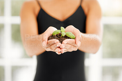 Buy stock photo Shot of an unrecognizable ballet dancer holding a plant growing out of soil