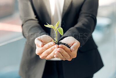 Buy stock photo Shot of a unrecognizable woman holding a plant at home