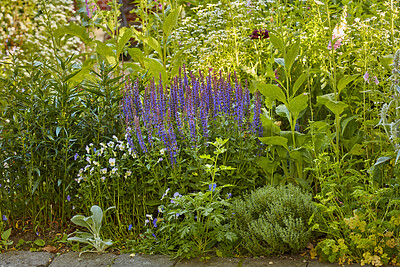 Buy stock photo A photo of the garden in summertime