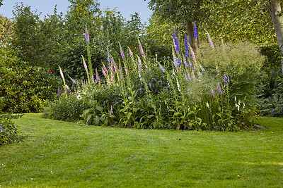 Buy stock photo A series of beautiful garden photos