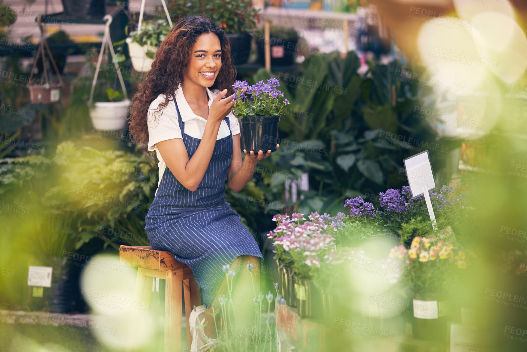 Buy stock photo Portrait, woman and florist with flower plant in greenhouse for gardening, bouquet and nursery of agriculture garden growth. Smile, female owner and sustainable retail product progress in boutique