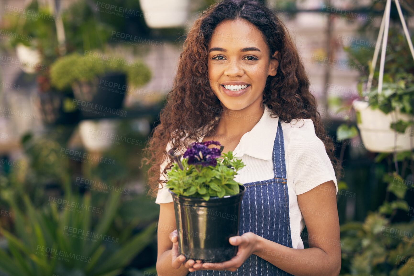 Buy stock photo Flower, woman and portrait as plant florist in greenhouse for gardening, ecology and nursery of agriculture garden growth. Smile, female owner and sustainable retail product progress in boutique 