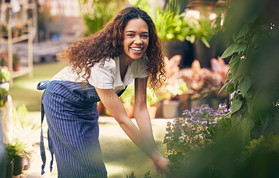 Buy stock photo Shot of a young female florist planting flowers