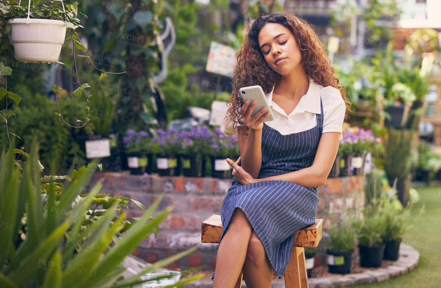 Buy stock photo Woman, florist and phone for online sales, ecommerce or shop order with serious face or worried of small business. Entrepreneur, gardener or seller typing on mobile of pot flowers or plants inventory