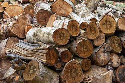 Buy stock photo These pieces of firewood are destined for the fireplace where they will give off a different kind of beauty in the form of heat and light.