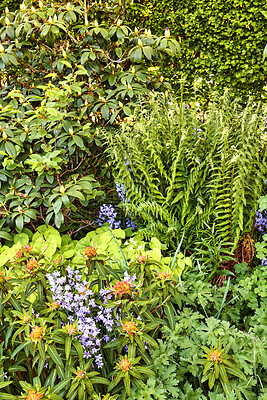 Buy stock photo A series of beautiful garden photos