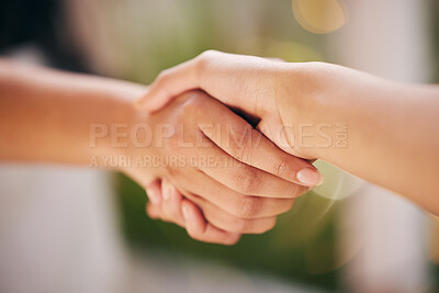 Buy stock photo Shot of a florist shaking hands with a new staff member