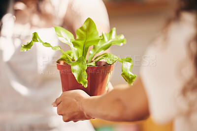 Buy stock photo Shot of a florist giving a customer a newly purchased plant