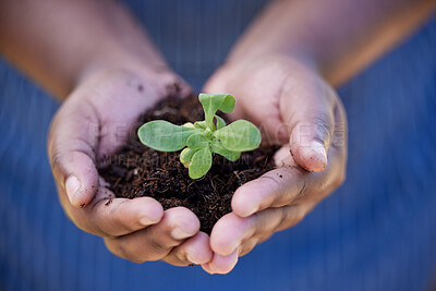 Buy stock photo Soil, agriculture and hands of farmer with plant for planting vegetables, harvest and ecosystem. Farming, sustainability and person with dirt, earth and sapling for environment, growth and nature