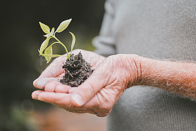 Buy stock photo Shot of a group of unrecognisable senior man holding a plant growing out of soil