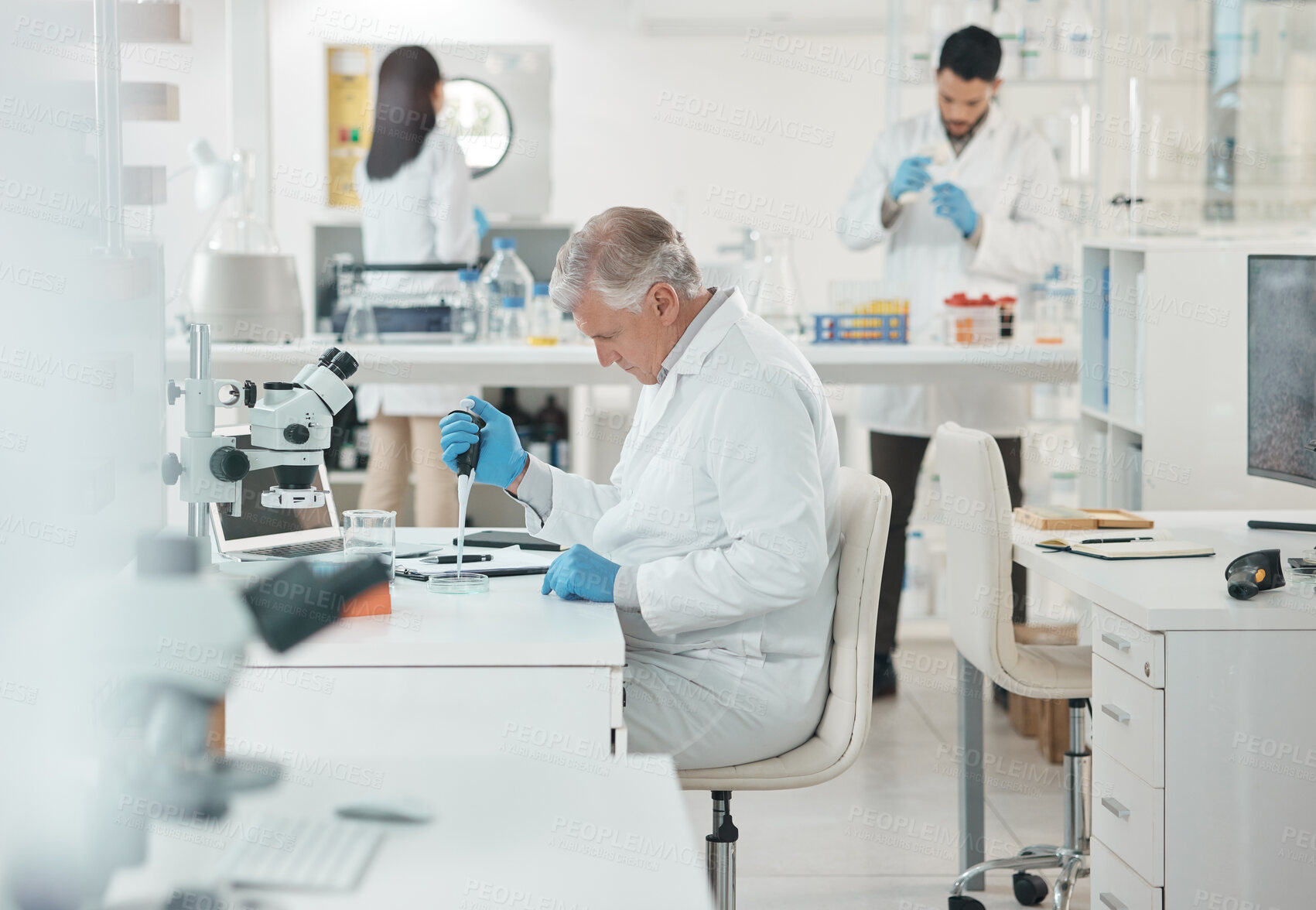 Buy stock photo Shot of a mature scientist working with samples in a lab