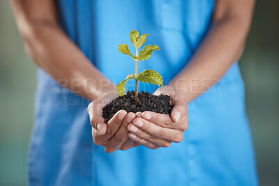 Buy stock photo Shot of a nurse holding a budding plant