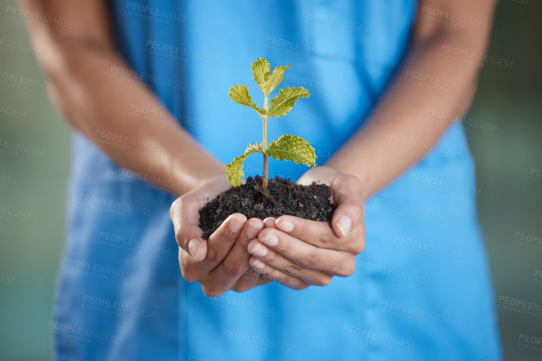 Buy stock photo Shot of a nurse holding a budding plant