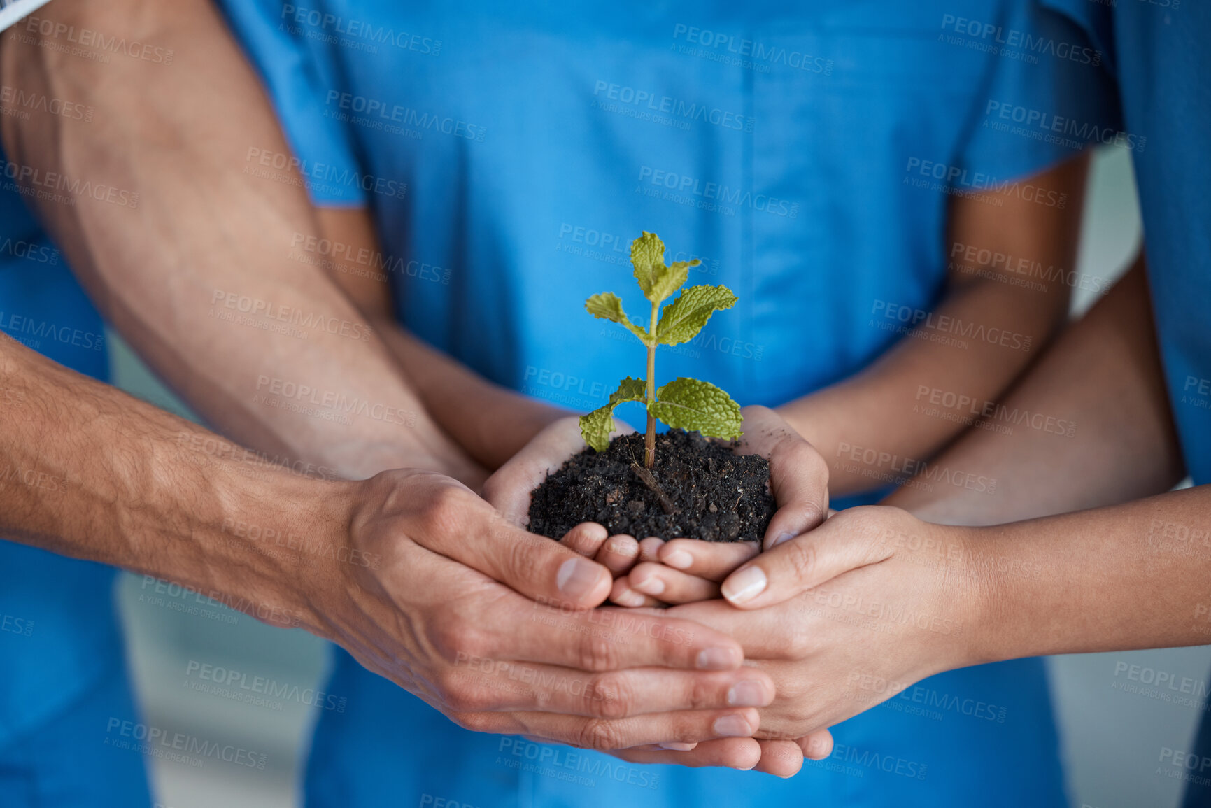 Buy stock photo Shot of a medical team holding a growing plant