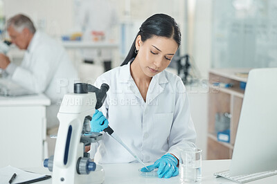 Buy stock photo Scientist, woman and petri dish with dropper and medical research in clinic laboratory. Chemistry, microscope test and hospital for vaccine and science with ppe gear for virus and medicine study