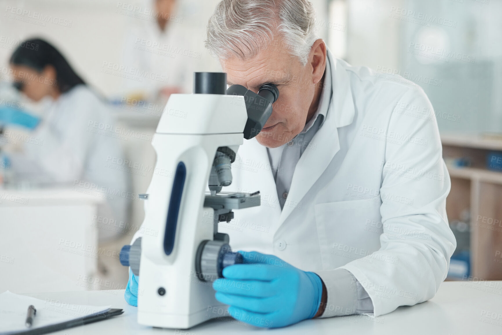 Buy stock photo Mature, man and scientist with microscope in lab with disease experiment, medical study and dna process. Researcher, biotech and molecule research with engineering, vaccine and healthcare solution