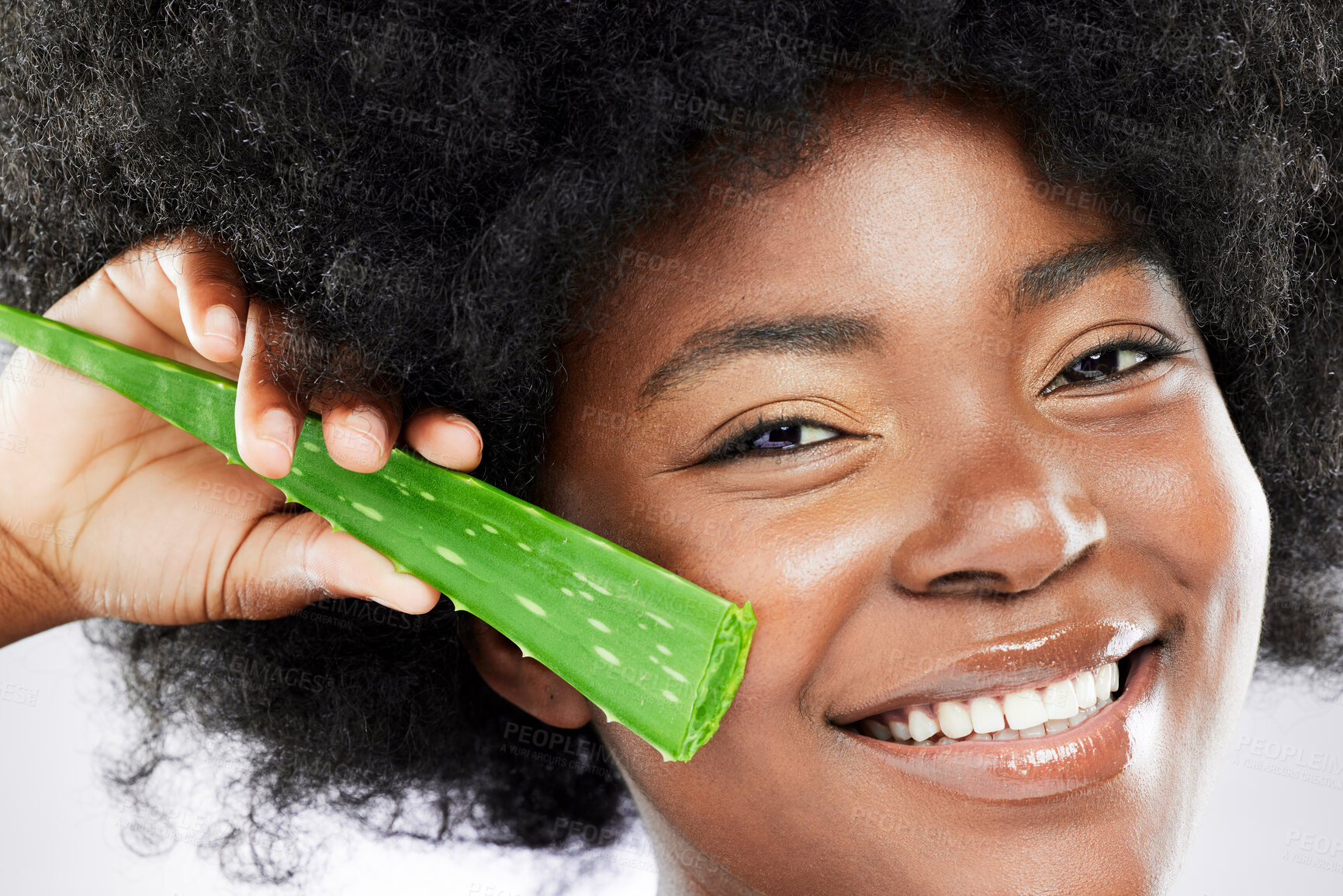 Buy stock photo African woman, skincare portrait and aloe vera with natural or sustainable beauty for glow and skin health in studio. Girl, organic cosmetics and green plant for eco friendly dermatology and collagen