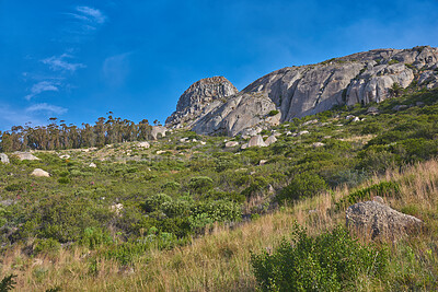 Buy stock photo Beautiful mountain peaks, green lush bushes and trees growing peacefully on Lions Head, South Africa. Large area of wilderness in forest landscape with calming fresh air, ecological life and harmony