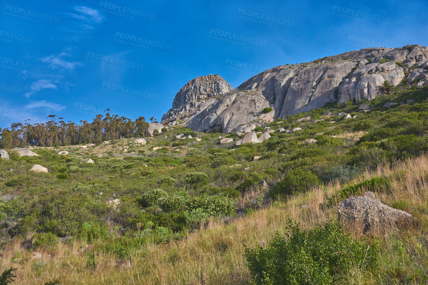 Buy stock photo Beautiful mountain peaks, green lush bushes and trees growing peacefully on Lions Head, South Africa. Large area of wilderness in forest landscape with calming fresh air, ecological life and harmony