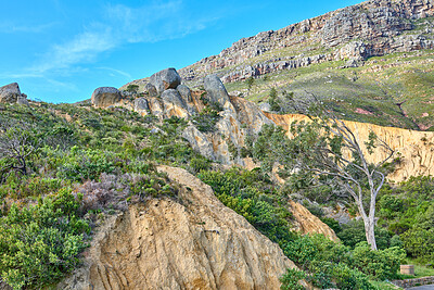 Buy stock photo Landscape of a mountain with green plants and foliage in South Africa on a sunny day. Rocky hills with greenery against a blue sky. Beautiful remote nature scene in popular adventure hiking location