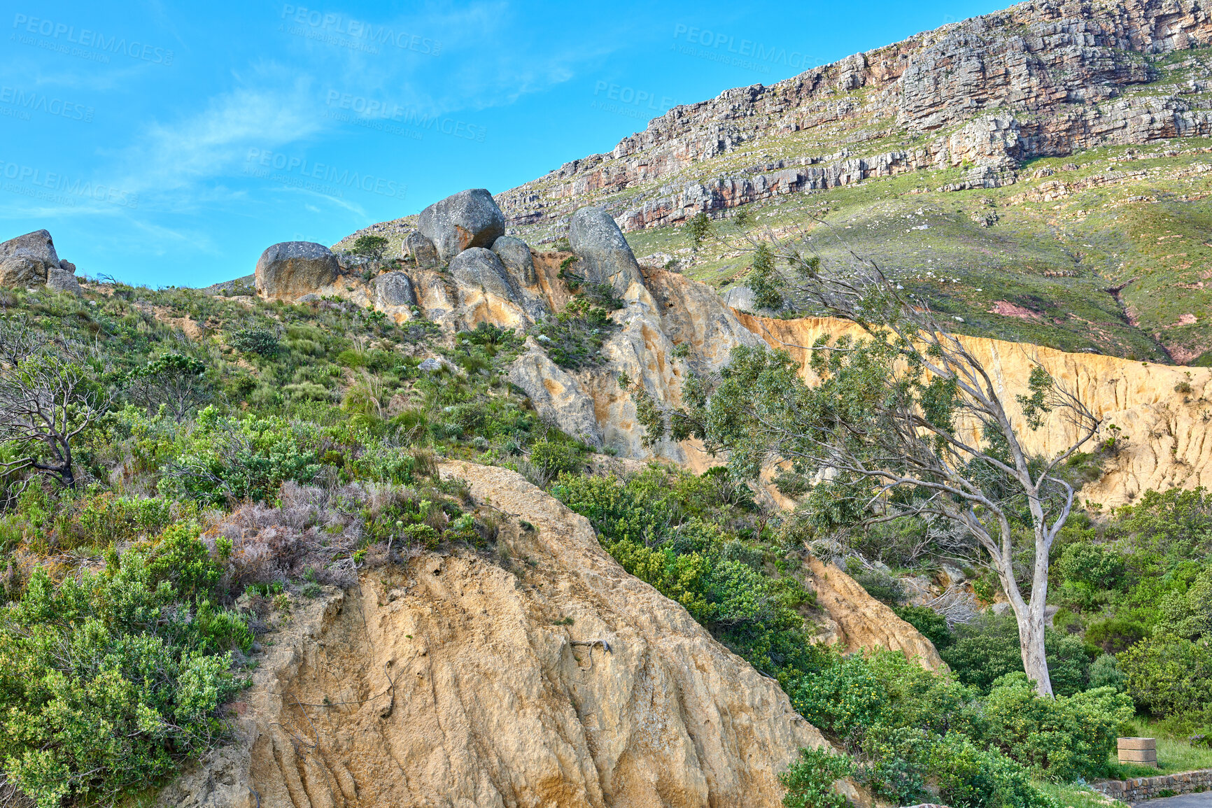 Buy stock photo Landscape of a mountain with green plants and foliage in South Africa on a sunny day. Rocky hills with greenery against a blue sky. Beautiful remote nature scene in popular adventure hiking location