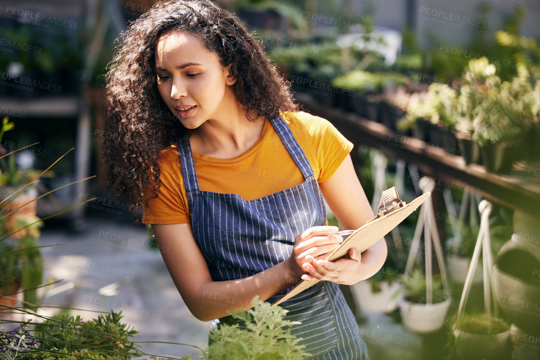 Buy stock photo Woman, small business and inspection with clipboard for garden service or natural growth in nature. Female person, florist or gardener monitoring plants with checklist for agriculture or conservation