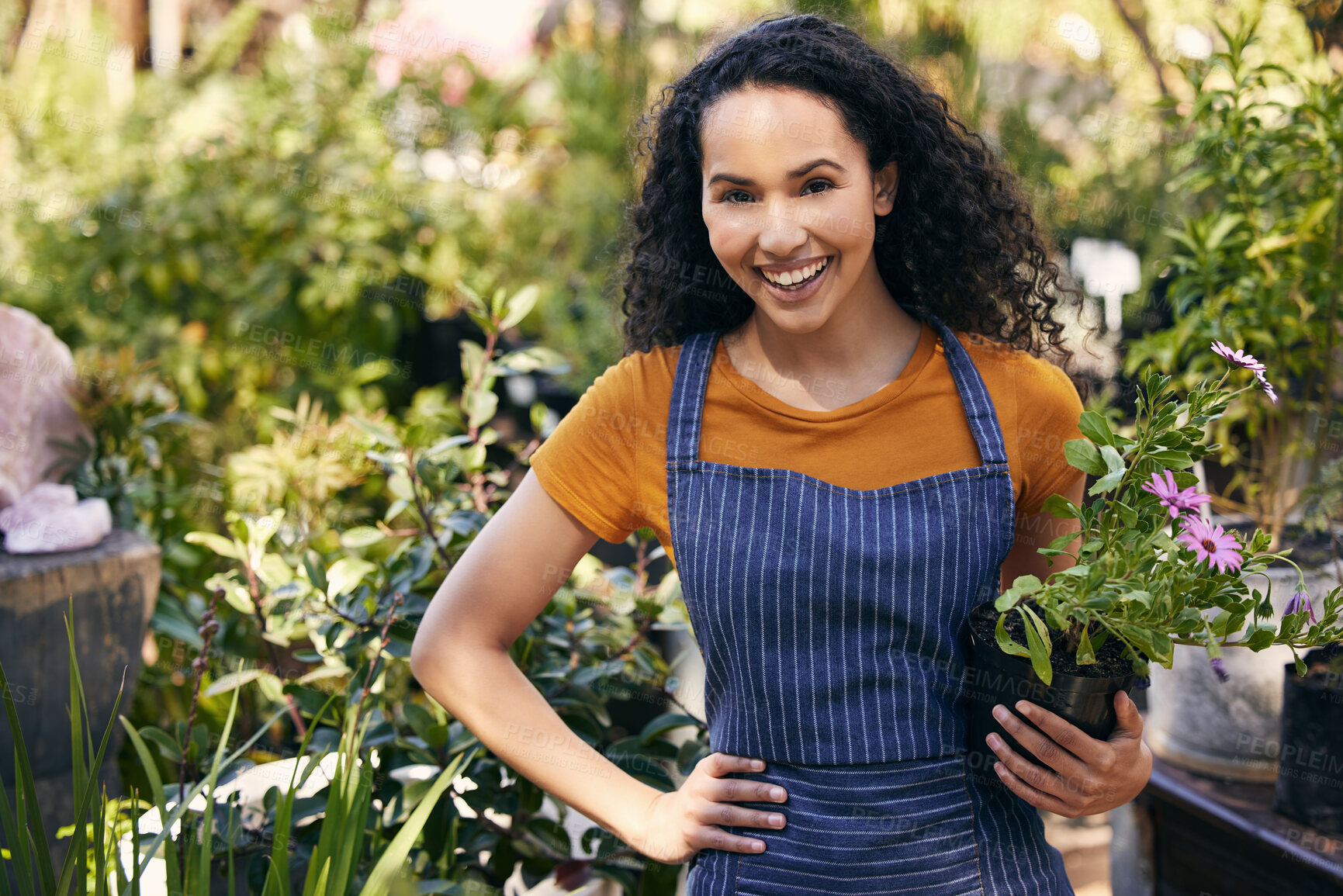 Buy stock photo Flower, florist and smile for portrait, woman and entrepreneur with apron, spring and growth of plants. Small business, nature and person in garden, ecology and service for shop, green and outdoor