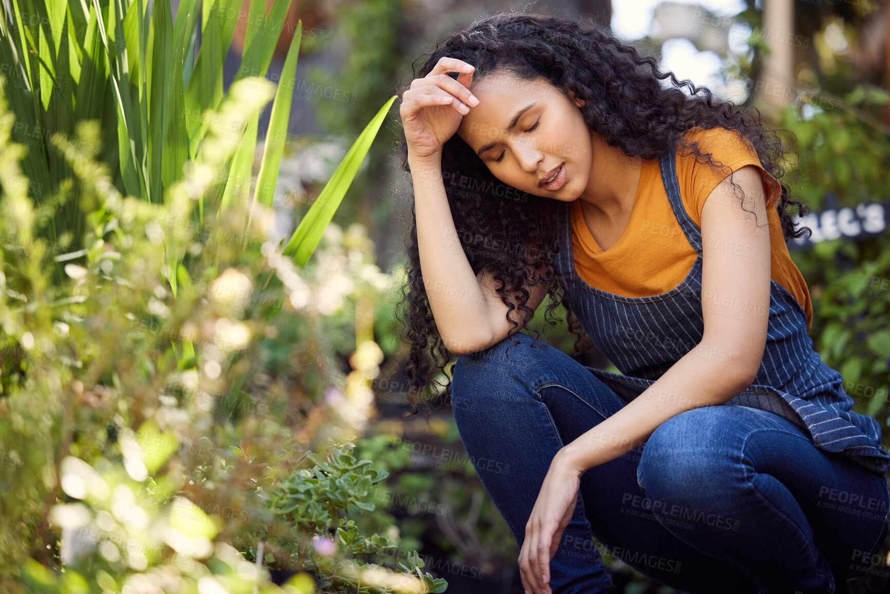 Buy stock photo Outdoor, florist and tired of gardening, woman and entrepreneur with apron, spring and growth of plants. Small business, nature and person in garden, ecology and service for shop, green and exhausted