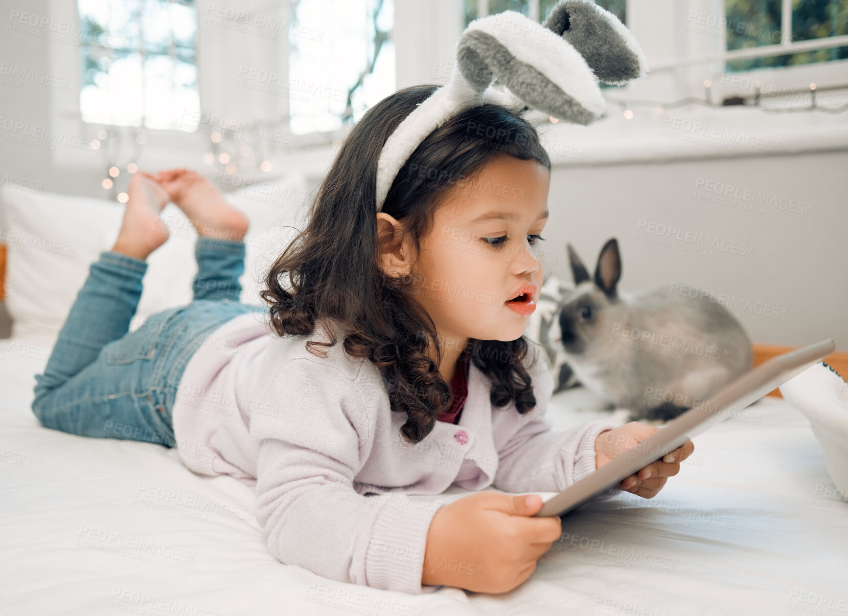 Buy stock photo Child, pet and tablet on bed for relax, responsibility and online media or animal care tutorial. Little girl, bunny or technology in home for development, cute rabbit videos and feeding requirements