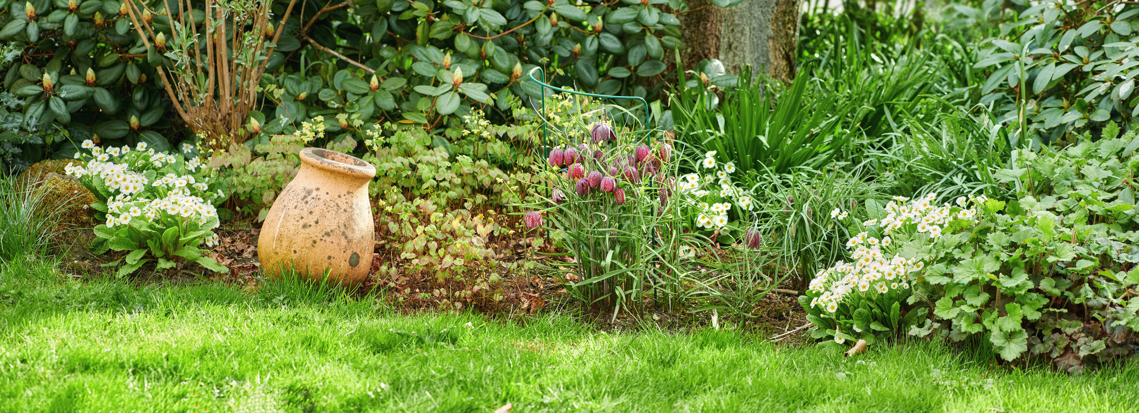 Buy stock photo Green garden with a lush green meadow and flowering plants. Empty brown clay vase outdoors in a backyard or park on a summer day. Aged container outside in a bright vibrant bush or shrub in nature