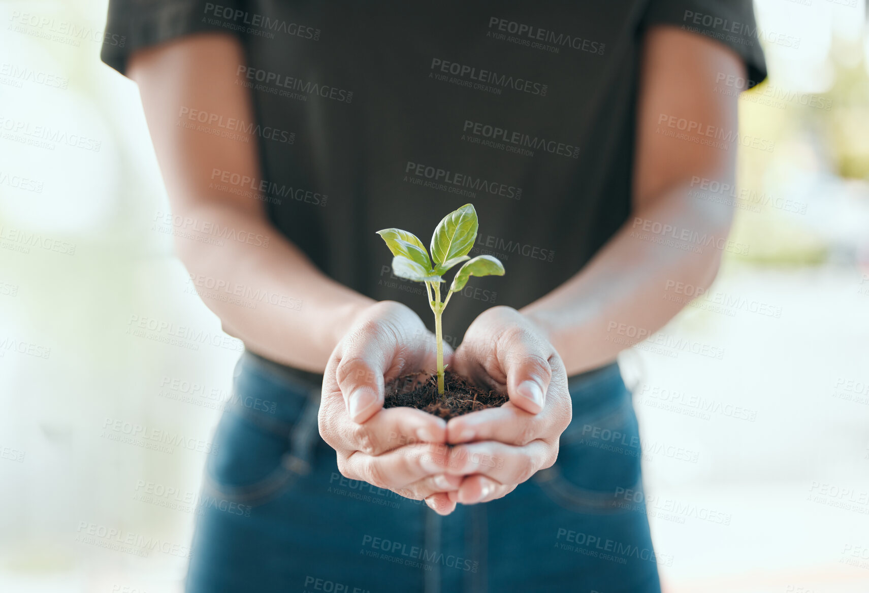 Buy stock photo Person, hands and support with plant for growth, sustainability and gardening conservation for earth day. Agriculture, farmer and leaf in soil for fertilizer, ecology and organic farming in nature