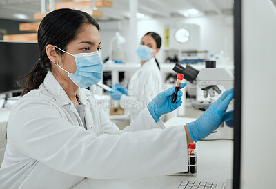 Buy stock photo Reading, blood test and woman on computer for science breakthrough, clinical trial or discovery. DNA vial, medical mask and scientist checking results for vaccine research, mpox cure or development