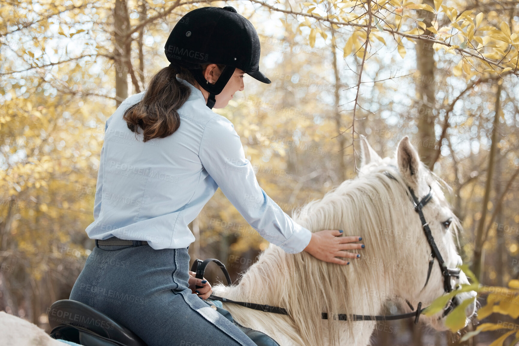 Buy stock photo Young, woman and horse in nature for exercise, sports and adventure or freedom in forest. Equestrianism, female jockey and animal for health, training and wellness or riding in countryside or woods