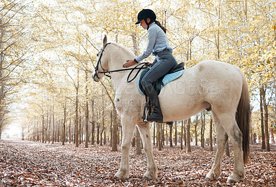 Buy stock photo Woman, riding and horse in nature for exercise, sports and adventure or freedom in forest. Equestrianism, female person and animal with saddle for health, training and workout in countryside or woods