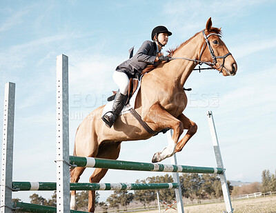 Buy stock photo Woman, horse and show jumping on ranch or farm for event, training and sport or competition. Fitness, animal and female jockey in countryside for course, dressage and performance in arena in Texas 