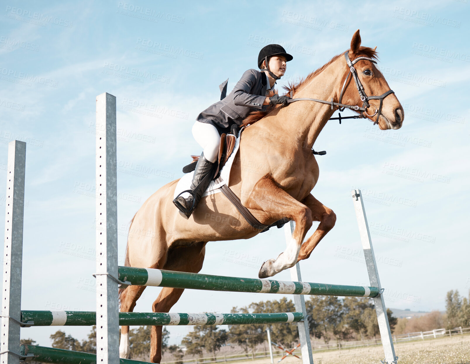 Buy stock photo Woman, horse and show jumping on ranch or farm for event, training and sport or competition. Fitness, animal and female jockey in countryside for course, dressage and performance in arena in Texas 