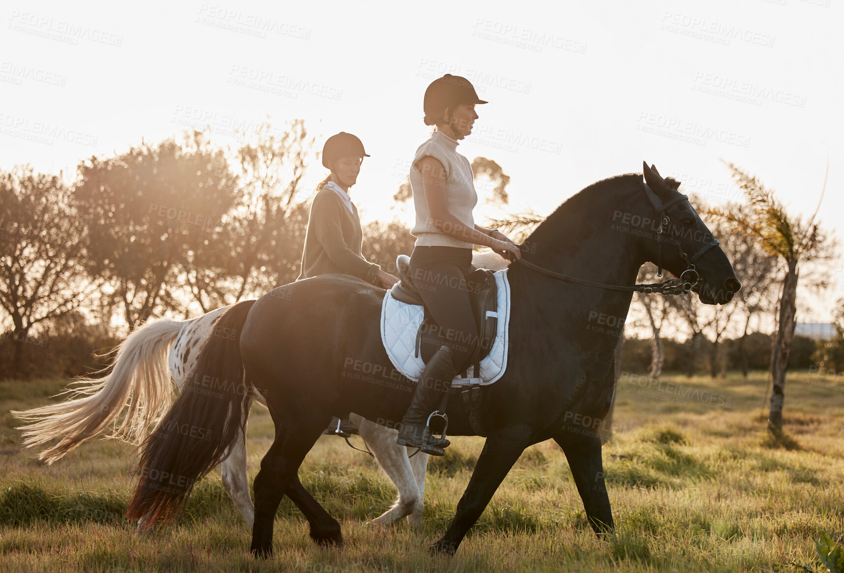 Buy stock photo Women, friends and horses in countryside for riding, freedom and recreation for adventure outdoor. Farm, female equestrian and stallion for training, sports and bonding with animals by sunshine