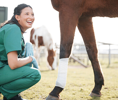 Buy stock photo Veterinarian, horse and leg bandage or outside, medical employee and animal healthcare checkup on farm. Professional, rehabilitation and injury with veterinary expert, doctor and lameness diagnosis