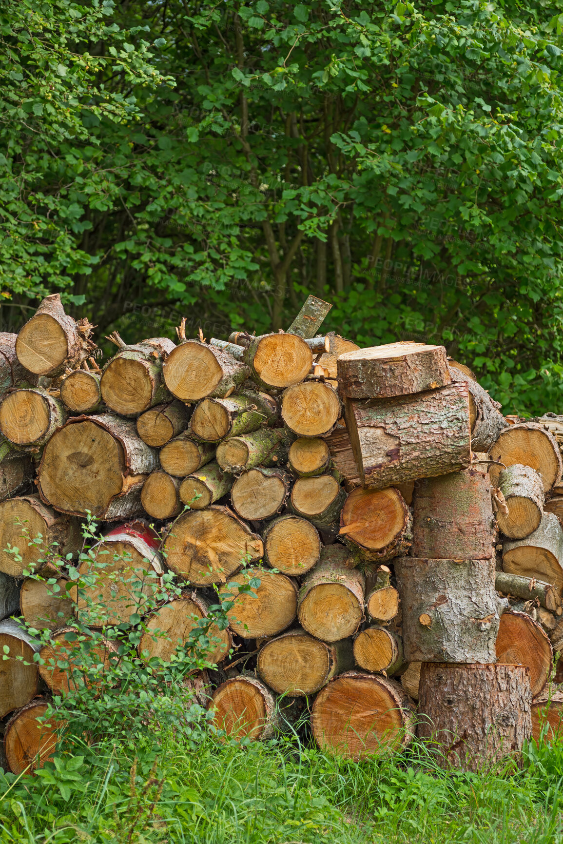 Buy stock photo Firewood