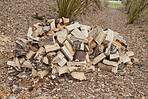 Preparation of firewood for the winter. Stacks of firewood in the forest. Firewood background. Sawed and chopped trees. Stacked wooden logs. 