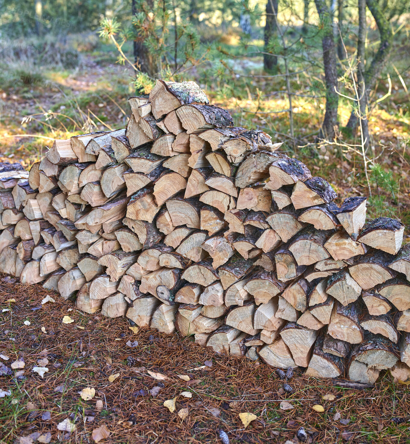 Buy stock photo Firewood