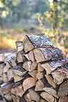 Preparation of firewood for the winter. Stacks of firewood in the forest. Firewood background. Sawed and chopped trees. Stacked wooden logs. 