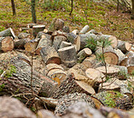 Preparation of firewood for the winter. Stacks of firewood in the forest. Firewood background. Sawed and chopped trees. Stacked wooden logs. 